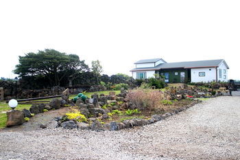 Bow House Hotel Jeju Exterior photo